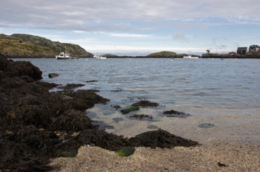 Monhegan Harbor